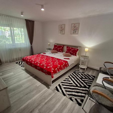 Apartament Claudia Deva Exterior foto